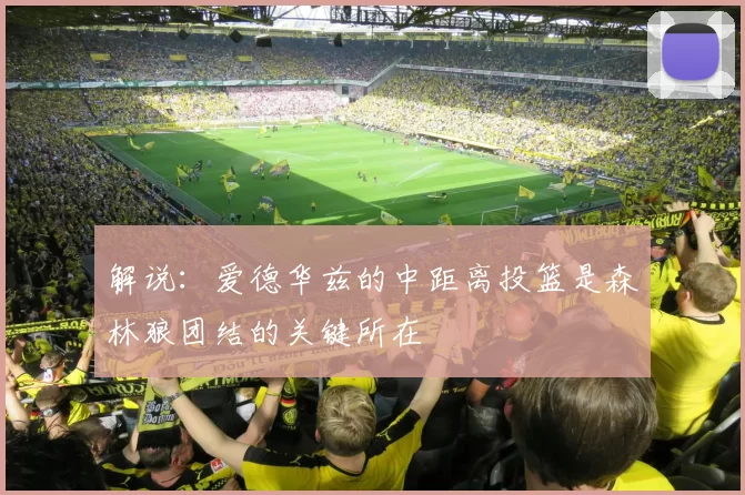 解说：爱德华兹的中距离投篮是森林狼团结的关键所在