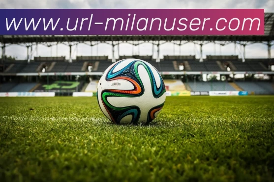 米兰体育平台生态图